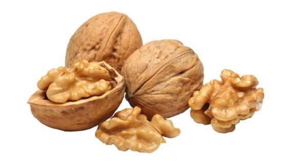 Mila Walnuts 1kg x 21